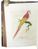 A General History of Birds, 11 volumes, complete with index, bound in 5 thick volumes