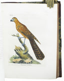 A General History of Birds, 11 volumes, complete with index, bound in 5 thick volumes