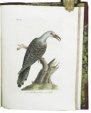 A General History of Birds, 11 volumes, complete with index, bound in 5 thick volumes