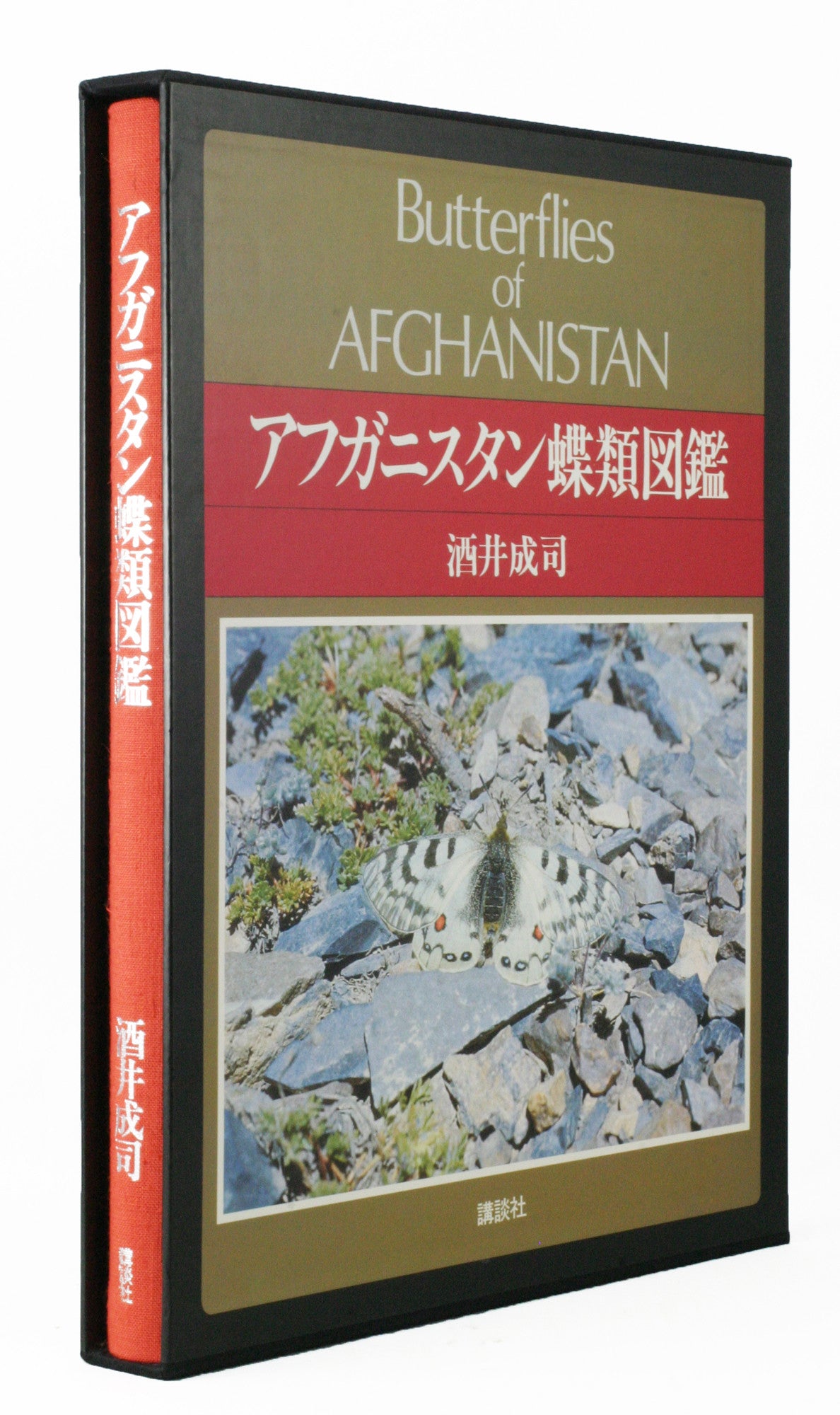 アフガニスタン蝶類図鑑 【公式通販】