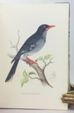 The Birds of Haiti and San Domingo