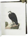 A General History of Birds, 11 volumes, complete with index, bound in 5 thick volumes