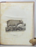 A Voyage to the Cape of Good Hope, towards the Antarctic Polar Circle, and Round the World; but chiefly into the Country of the Hottentots and Caffres, from the year 1772 to 1776