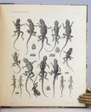Wissenschaftliche Resultate der von N.M. Przewalski nach Central-Asien unternommenen Reisen Zoologischer Teil. Band III, Abth. 1: Amphibien und Reptilien. Lieferung (Part) I and II