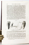 Palaeontological Memoirs and notes of the late Hugh Falconer with a Biographical Sketch of the Author. Compiled and edited by Charles Murchison, in two 2 volumes