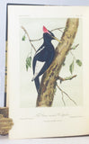 Illustrations of the Birds of California, Texas, Oregon, British and Russian America