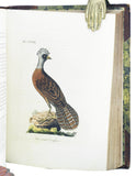 A General History of Birds, 11 volumes, complete with index, bound in 5 thick volumes