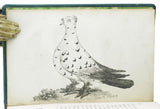 A Treatise on Domestic Pigeons, comprehending all of the different species known in England; describing the perfections and imperfections of each, ... the method of breeding the most curious and valuable sorts, ... the generation of pigeons in general.