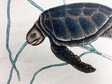 Catesby Green Sea Turtle Hand-Colored Plate
