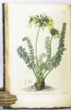 Geraniaceae: The natural order of Gerania. Illustrated by coloured figures and descriptions; comprising the numerous and beautiful mule-varieties cultivated in the gardens of Great Britain, with directions for their treatment, 5 volumes, complete.