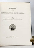 A Revision of the Cotylosauria of North America