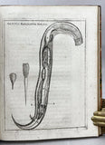 De admirabili Viperae natura et de mirificis ejusdem facultatibus (second edition)