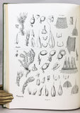 Moss Flora of North America north of Mexico, in 12 parts bound in three volumes, complete