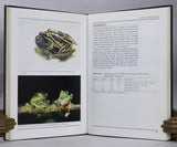Australian Frogs