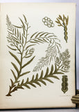 Nereis Boreali-Americana: Part I. Melanospermae; Part II. Rhodospermeae; Part III. Chlorospermeae, in 3 volumes, complete