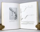 The Rusty Lizard: A Population Study