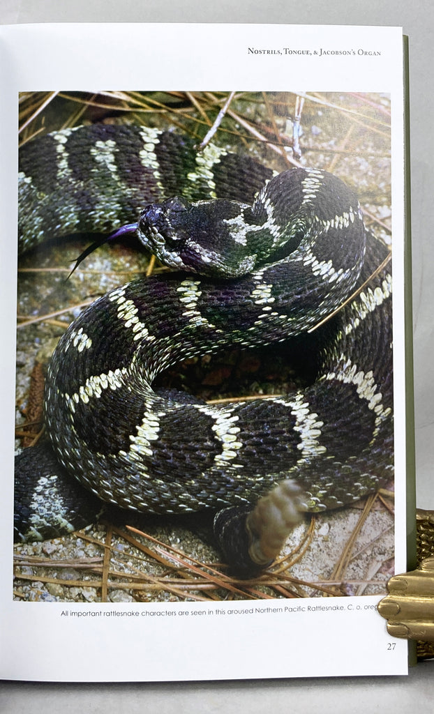 Book Rattle Snakes Rattlesnakes of the United States and Canada (Leatherbound limited edi ...