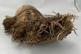 Hand-made carved bearded face in bamboo from southern China