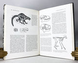 Paleontology: The Record of Life