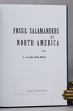 Fossil Salamanders of North America