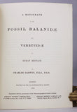 A Monograph on the Fossil Balanidae and Verrucidae of Great Britain