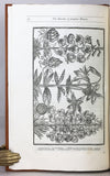 Paradisi in Sole: Paradisus Terrestris faithfully reprinted from the edition of 1629