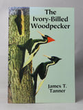 The Ivory-Billed Woodpecker