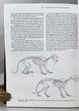 Vertebrate Paleontology and Evolution