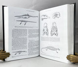 Vertebrate Paleontology and Evolution
