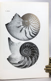 Geology and Palaeontology of Southeast Asia, Volumes 1-8 (1964-1970)