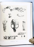 Report of the Scientific Results of the Voyage of H M S Challenger during the Years 1873-76 under the Command of Captain George S Nares and Captain Frank Tourle Thomson, Zoology, Vol. XXVI, Part 68 – Report on the Seals