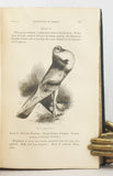 The Variation of Animals and Plants under Domestication, 2 volumes