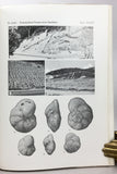 Geology and Palaeontology of Southeast Asia, Volumes 1-8 (1964-1970)