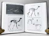 Breathing Life into Fossils: Taphonomic Studies in Honor of C.K. (Bob) Brain
