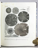 Monographies d’Echinodermes Vivans et Fossiles, Livraison 1-3