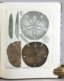 Monographies d’Echinodermes Vivans et Fossiles, Livraison 1-3