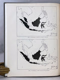 Die Amphibien und Reptilien der Inseln Bali, Lombok, Sumbawa und Flores (Beiträge zur Fauna der Kleinen Sunda-Inseln, I)