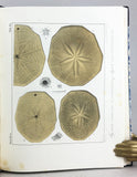 Monographies d’Echinodermes Vivans et Fossiles, Livraison 1-3