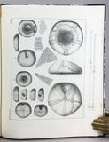Monographies d’Echinodermes Vivans et Fossiles, Livraison 1-3