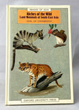 Riches of the Wild: Land Mammals of South-East Asia