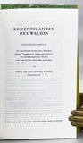 Bodenpflanzen des Waldes: Taschenbildbuch