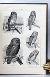 The Ornithology of Illinois: Descriptive Catalogue, in 2 volumes, complete