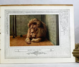 New York Zoological Park