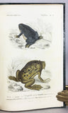 Reptiles vivants et fossiles (the hand-colored plate version)