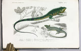 Reptiles vivants et fossiles (the hand-colored plate version)