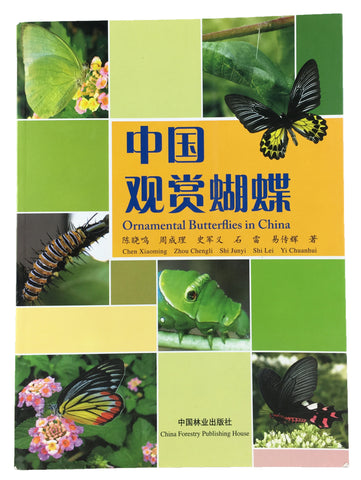 Ornamental Butterflies in China