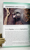 A Field Guide to Reptiles of Queensland