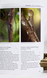 A Field Guide to Reptiles of Queensland