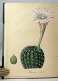 Abbildung und Beschreibung blühender Cacteen. Figures des Cactées en fleur peintes et lithographiées d'après nature (two volumes complete bound in one volume)