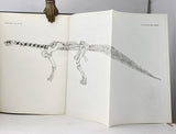 Camarasaurus, Amphicoelias, and other Sauropods of Cope